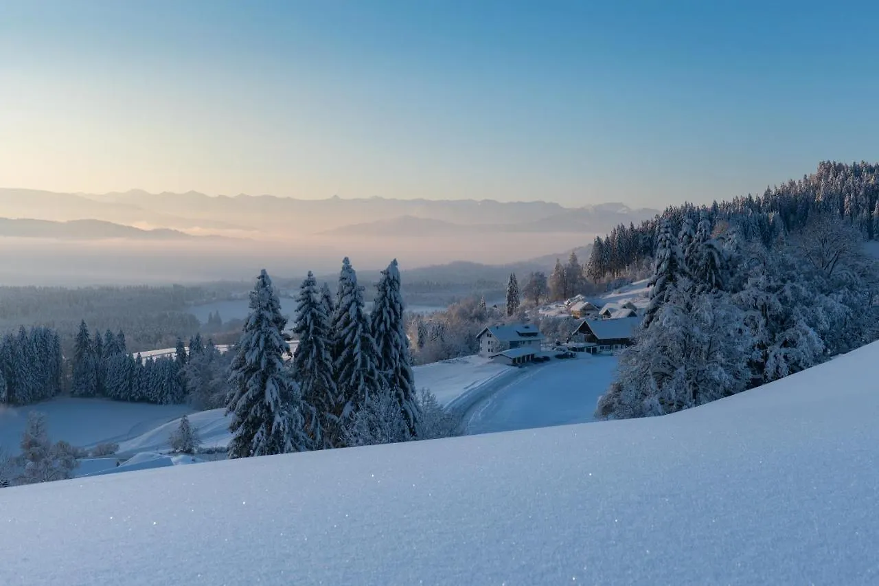 Apartment Ferienwohnung Bergoase Mit Pool & Sauna Scheidegg