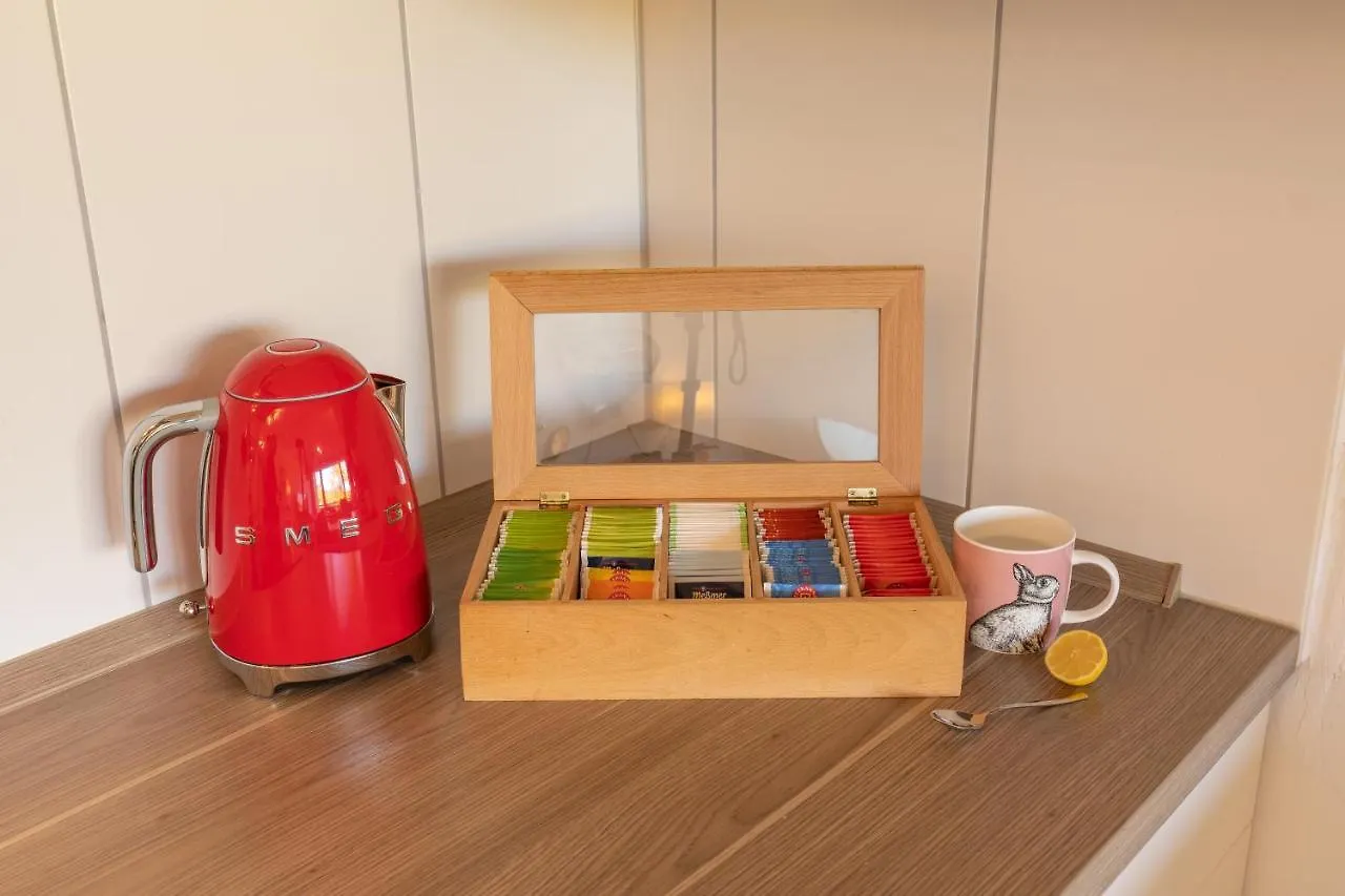 Ferienwohnung Bergoase Mit Pool & Sauna Scheidegg Apartment