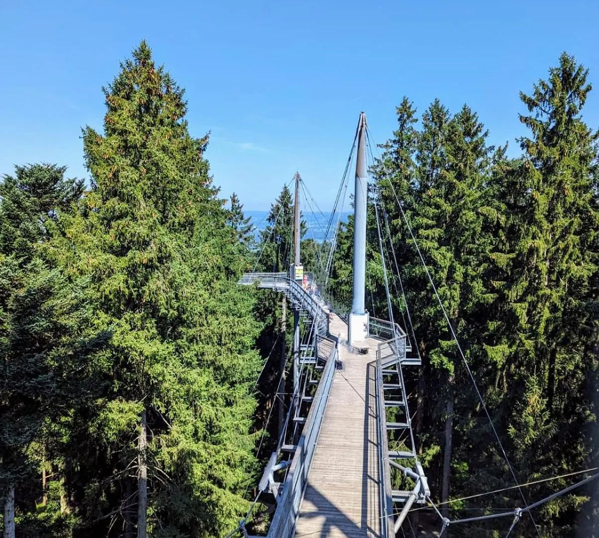 Ferienwohnung Bergoase Mit Pool & Sauna Scheidegg
